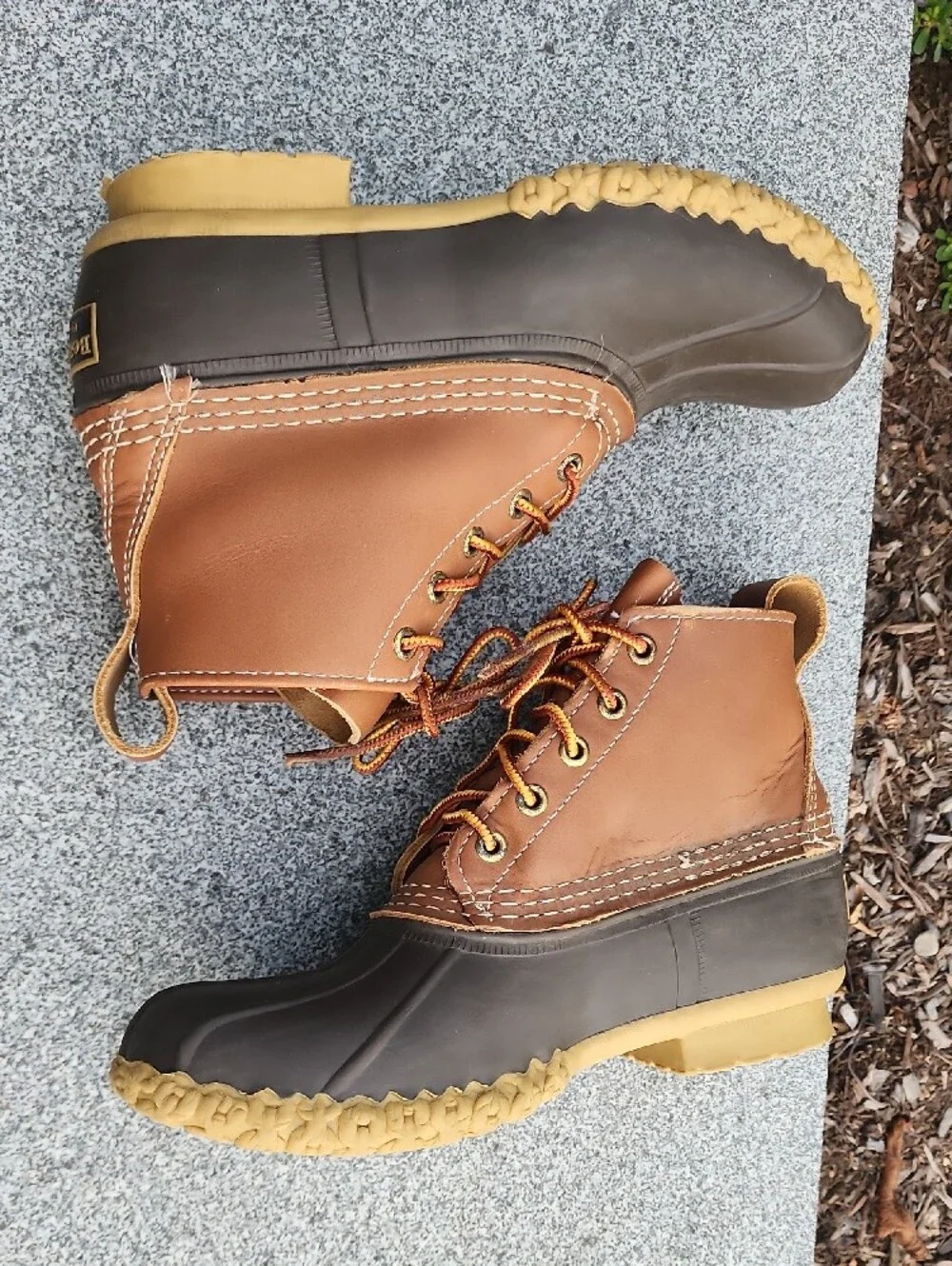 LL Bean 6